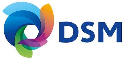 DSM STANYL® PA46